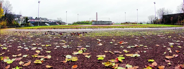 tl_files/inhalte/allgemein/news/2017/20171122Stadion1.jpg